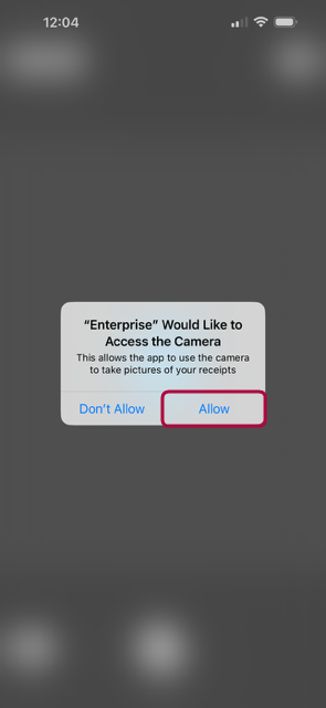 CU - Allow Camera.PNG
