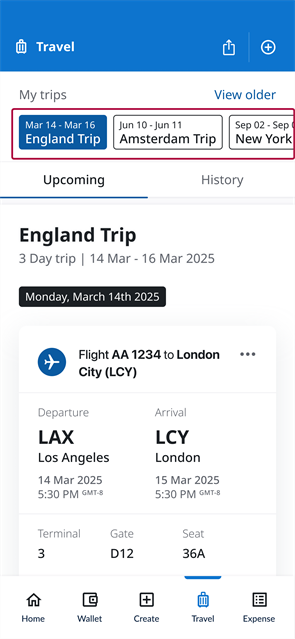 MTI - View Trips.png