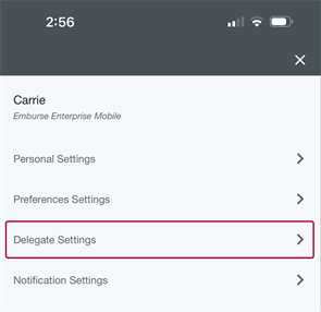 Delegate Settings screen listing current delegates with options to add new or approval delegates.