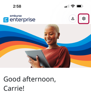 GS - Access Settings.PNG