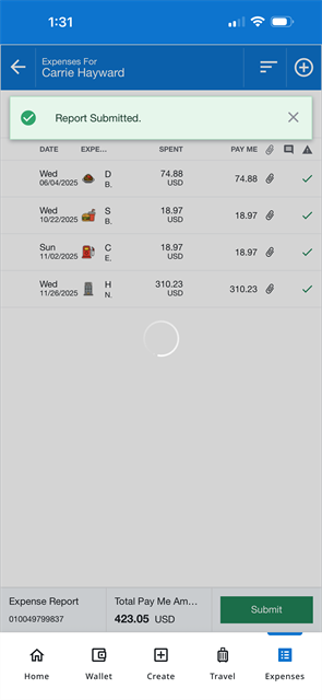 Expense report screen showing a success banner labeled Report Submitted and a list of submitted expenses.